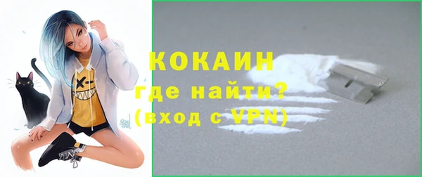 крисы Армянск