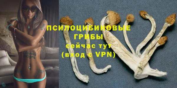 mix Арсеньев