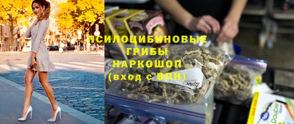 крисы Армянск
