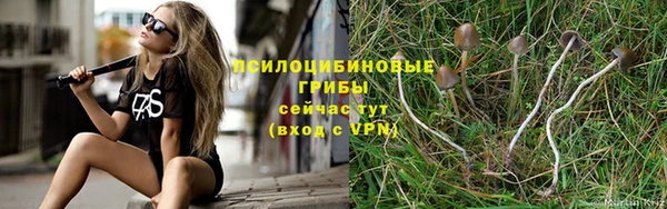 мяу мяу кристалл Осинники