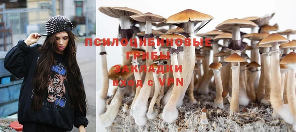 крисы Армянск