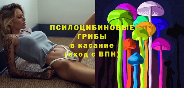 крисы Армянск
