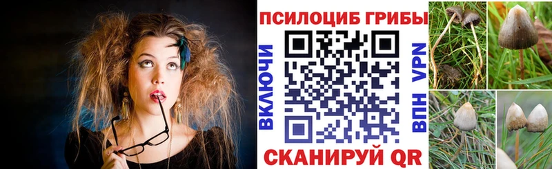 Галлюциногенные грибы Magic Shrooms  Татарск 